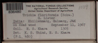 Image Associated With the Occurence